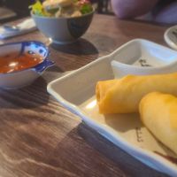 Veggie spring rolls at Passion Fin Asian Bistro & Sushi Bar in Fort Wayne