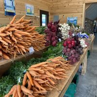Wonderful looking produce!   at Beech Hill Farm in Mount Desert Island