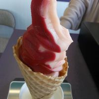  at Surely Sweet in Ocean Shores