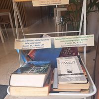  at El Michi del Puerto in Tenerife