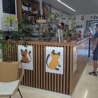  at El Michi del Puerto in Tenerife