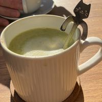   at El Michi del Puerto in Tenerife