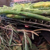 Grilled asparagus - the smell is out of this world! at Family Meal at Blue Hill in New York City