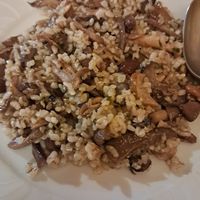 Arroz con setas at Habanita in Sevilla