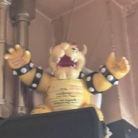 Bowser buddy   at Vegan Sushi Tokyo in Tokyo