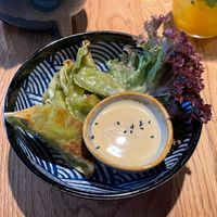 Green Gyoza   at Mandala in Bonn