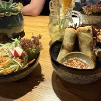 Papaya Salad and Spring Rolls  at Mandala in Bonn
