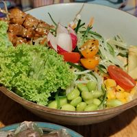 Udumbara Bowl at Mandala in Bonn