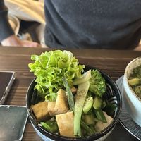 Fried Tofu Dish at Mandala in Bonn
