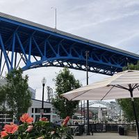 Across the street  at Cocky's Bagels & Bar in Cleveland
