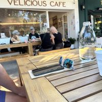 Outdoor, dog friendly dining in the shade  at Velicious Café in North Narrabeen