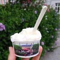Vegan coconut icecream at Eissalon Salek in Wiener Neustadt
