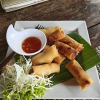 Spring rolls at Good Times Restaurant in Kanchanaburi