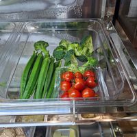  at Veggie House 一芳 - Orchard in Central Singapore