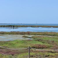 Entorno con flamencos at Delta Hotel in Deltebre