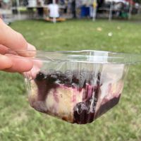 Blueberry cheesecake  at EarthFed in Savannah