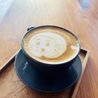 Meow !  at V-Tribe in Chiang Mai