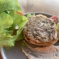 Jackfruit patty  at V-Tribe in Chiang Mai