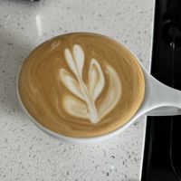 Latte made with oat milk   at Donerds Donuts in Bethlehem