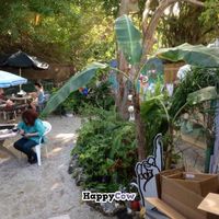 outdoor seating area in back at Good Food Conspiracy in Big Pine Key