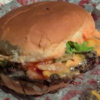 Burger at Moonburger in Poughkeepsie