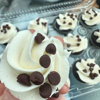 Mini chocolate chip cupcakes with vanilla frosting   at Ruby Baking Co in Rockwall