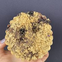 Blueberry cobbler at Sweet to Lick in Williston Park