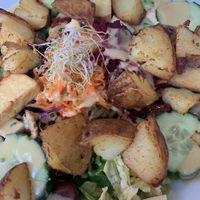 Salade   at Le Potager du Marais - Saint Paul in Paris