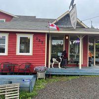 Sorry, only doggo photo, I forgot about the food  at Crow's Nest Café in Crow Head
