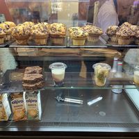   at Copper Branch in Marseille