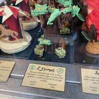   at Wonderland Patisserie in Paris