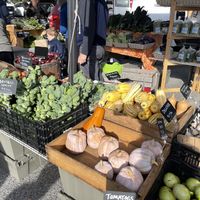   at Bar Harbor's Eden Farmers' Market in Bar Harbor
