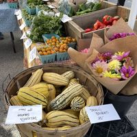   at Bar Harbor's Eden Farmers' Market in Bar Harbor