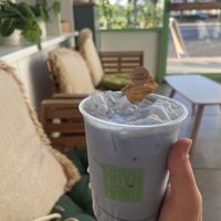   at Kavahava in Santa Monica