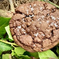 Chocolate cookie with sea salt  at CAOS - O Futuro É Vegetal in Lisbon