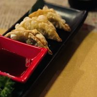 Vegan Gyoza  at Tamashi Ramen in Genoa
