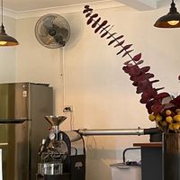  at Double Tap Coffee in Marrickville