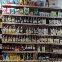 Nuts at SigNatur in Thun