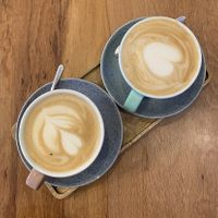 Oat lattes  at Antigua Specialty Coffee in Tirana