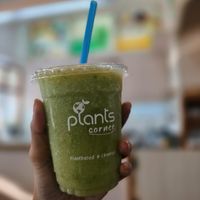  at Plants Corner in Chonburi