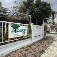   at Plants Corner in Chonburi