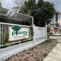   at Plants Corner in Chonburi