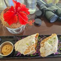  at BOA Café & Coworking Space in Puerto Viejo De Talamanca