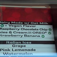 Vegan options at Bruster's Real Ice Cream in Alexandria