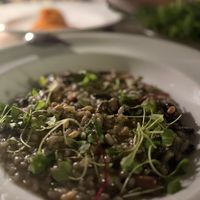   at Bossi in Auckland