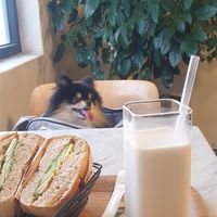 Bagel and Oatmilk at New York Lots O Bagels in Seoul