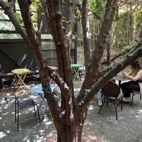   at New York Lots O Bagels in Seoul