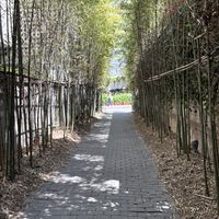   at New York Lots O Bagels in Seoul