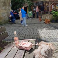 Right next to the Tecklenburg castle at Paulas Kostbar in Tecklenburg