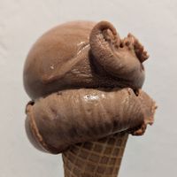 Chocolate at St. Francis Ice Cream in Portland